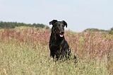 BEAUCERON 211